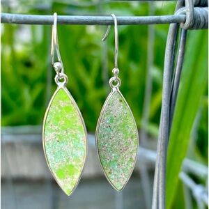 Sea Sediment Jasper Earrings